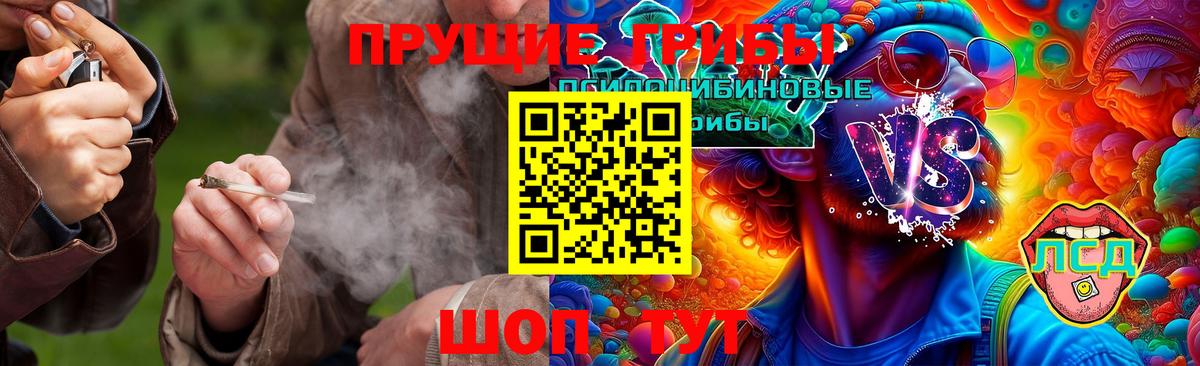 Псилоцибиновые грибы Cubensis  купить   Ухта  Вход с VPN 
